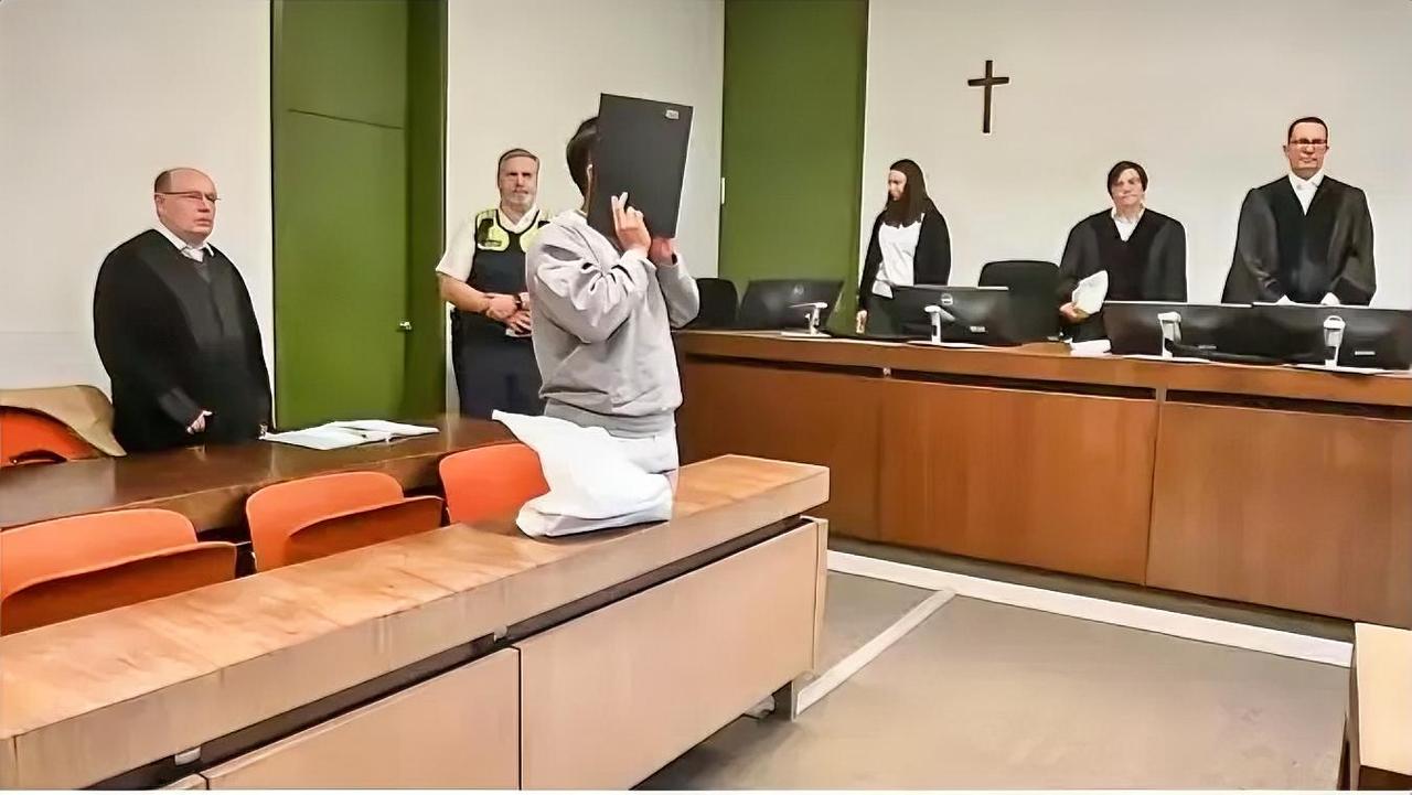 披着人皮的恶魔！哈工大高材生旅居德国20年，竟建起一个4500人的犯罪网络，把同