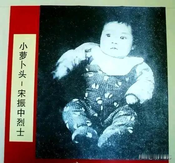 当小萝卜头遗体被发现后，手里还有铅笔！

1949年11月30日，小萝卜头（原名