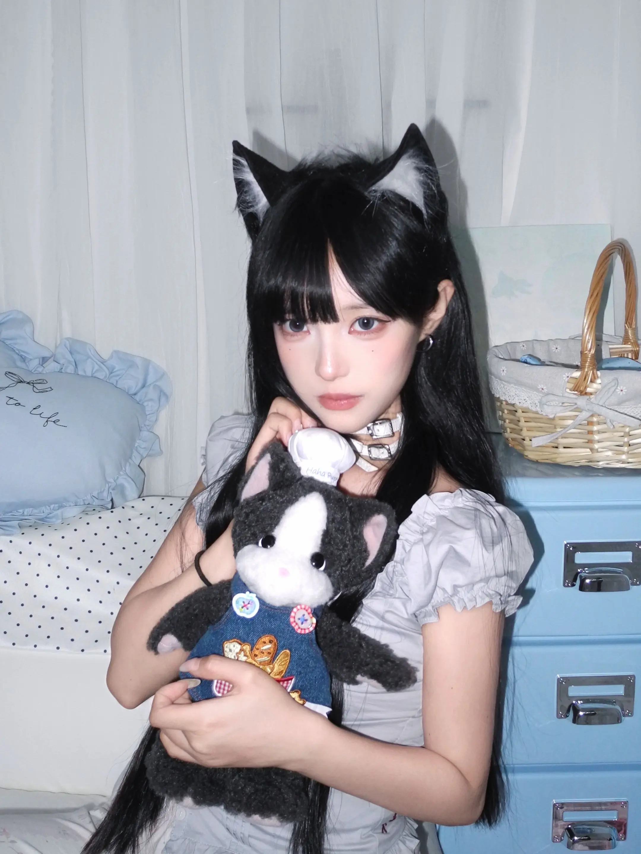 抱抱猫猫