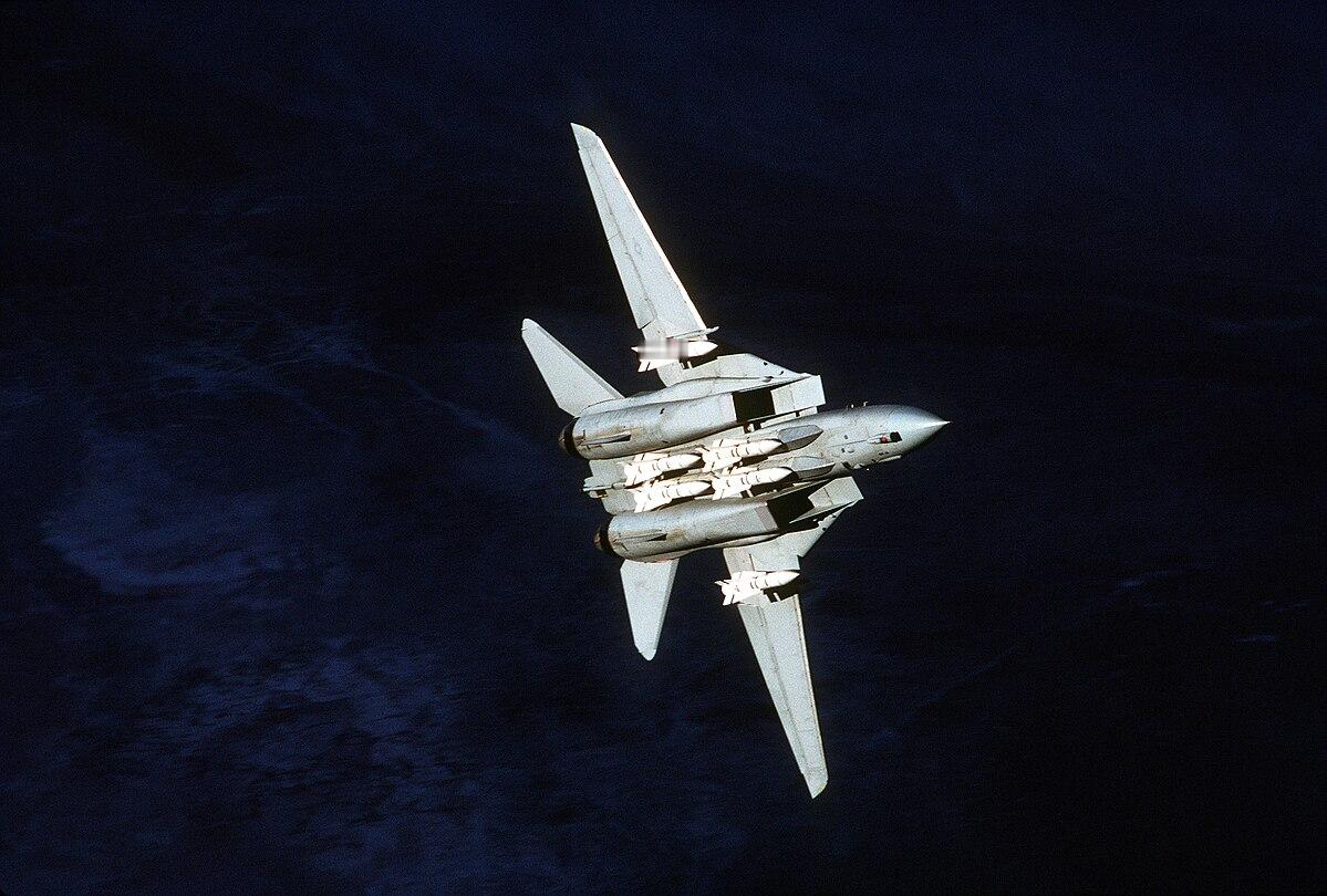 猫宁。挂载六发AIM-54导弹的F-14大猫 