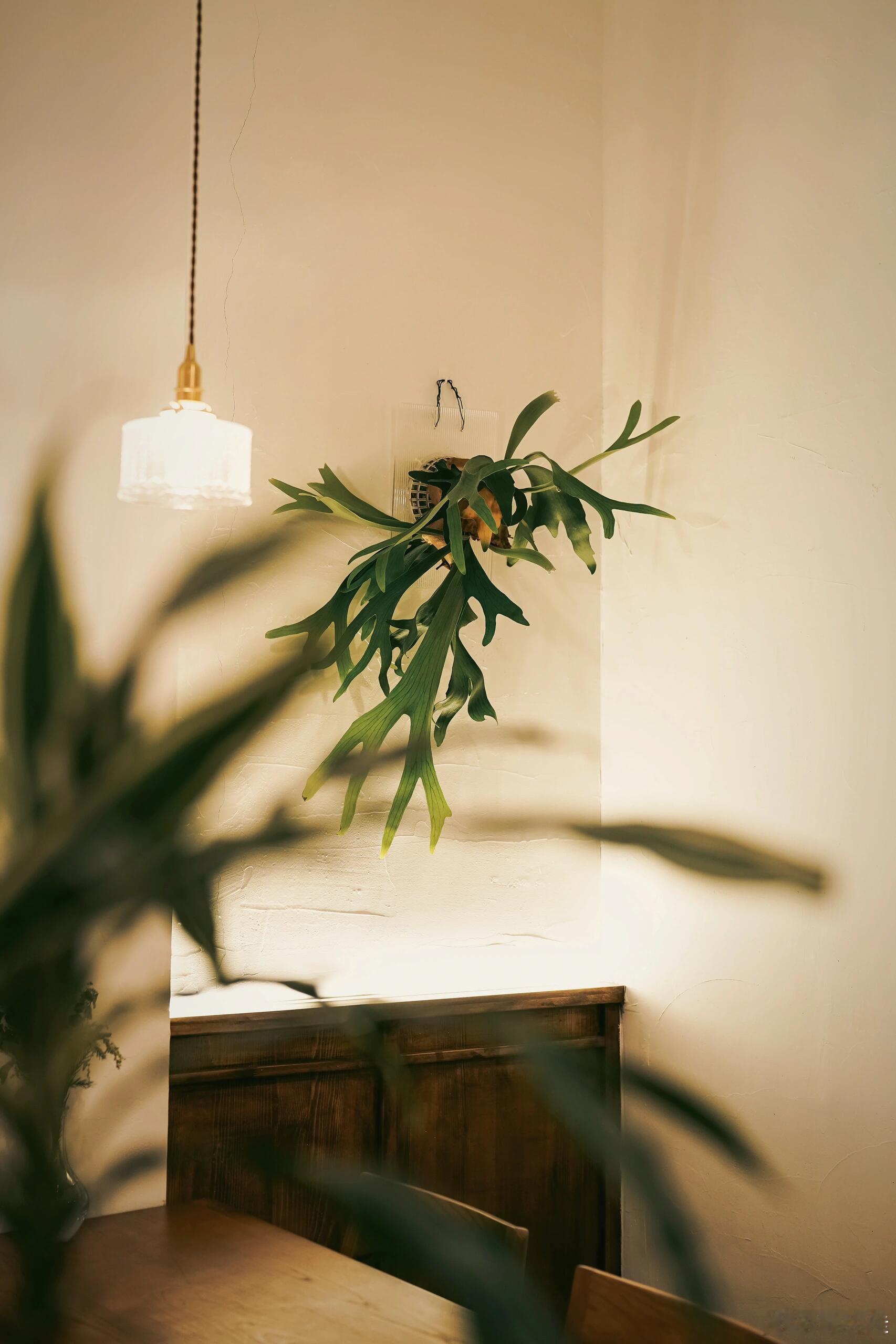 “我希望我的女儿，将来不会被廉价的爱情所迷惑，也不要被婚姻束缚的忘掉真实的自我。