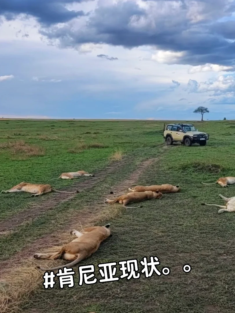 肯尼亚现状。。。准备近期去的姐妹要当心