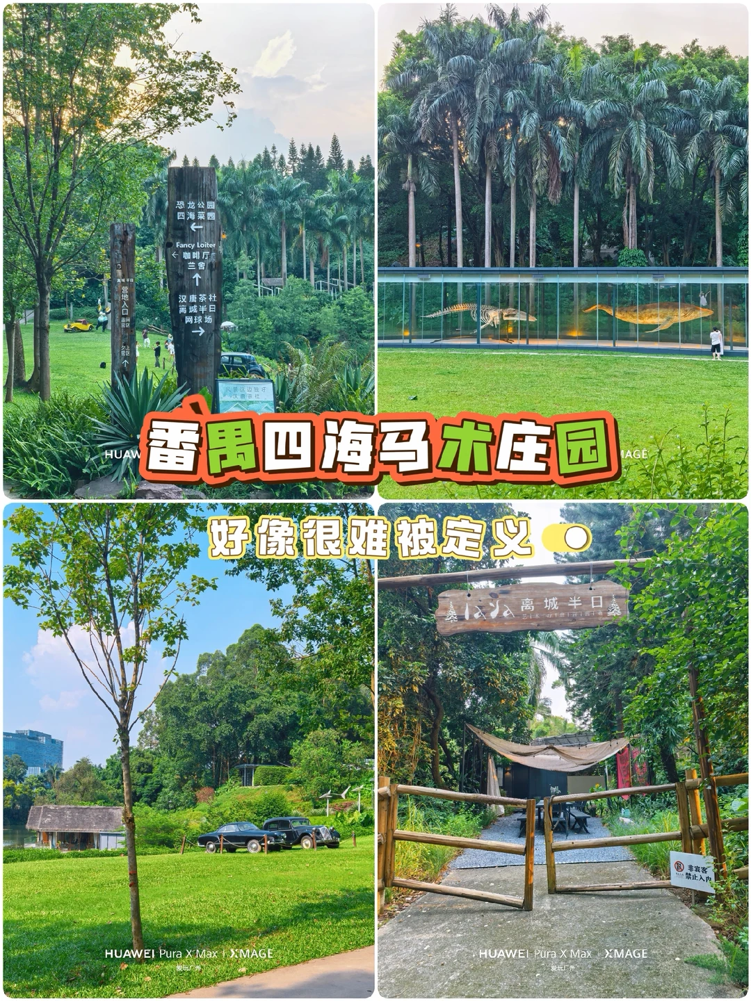 广州番禺四海马术好像很难被定义？