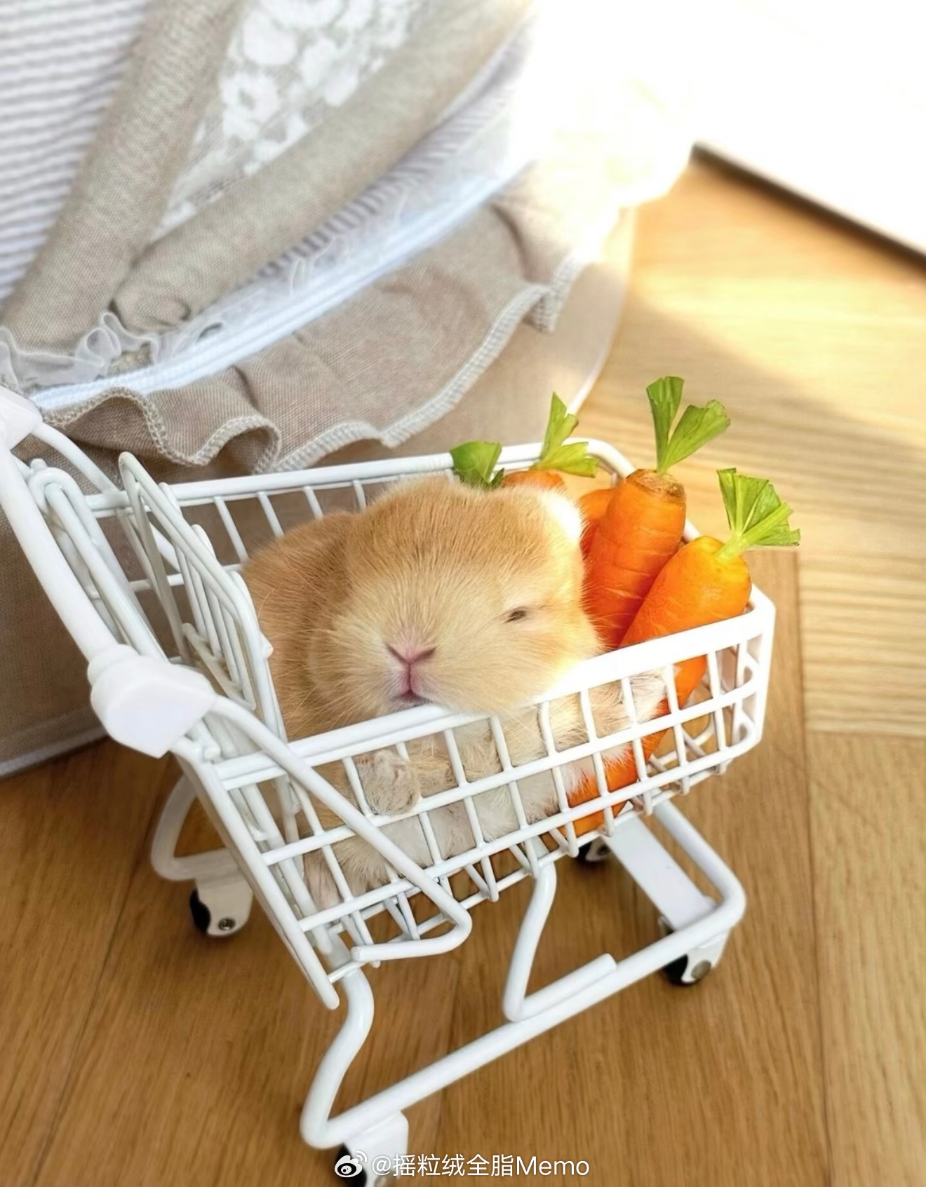🛒里有🐰。 