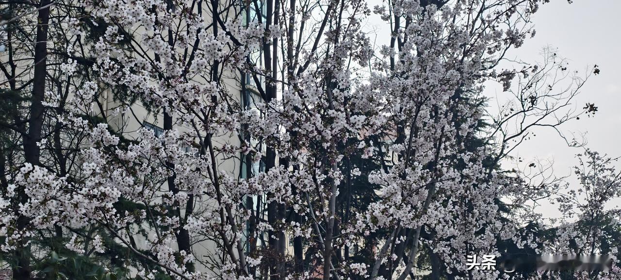 领导一边用我，一边说我“也就那样”，我忍了两年终于走了

我前公司有个主管，手底