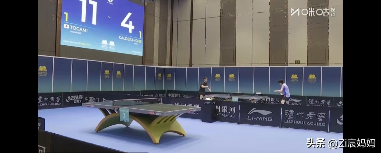 昨晚王皓与楚钦虽然是一起出的赛场，
但是是孙逊陪着一起回的酒店，
这是因为王楚钦