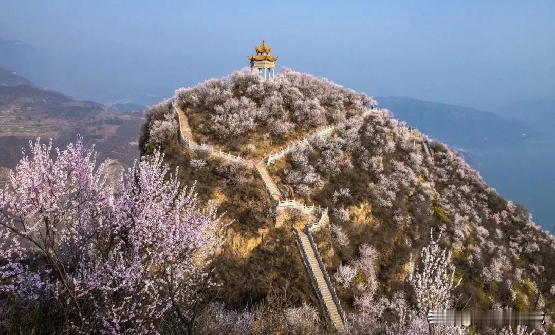 【荆紫仙山三八妇女节福利来袭！】2025年3月8日至3月9日，荆紫仙山 面向全国