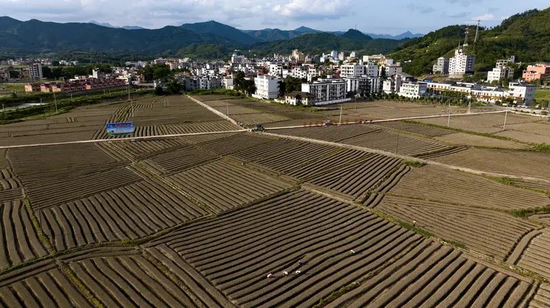 农业现状考察 农业现状与发展 未来的农业发展 农业现状 农业发展困境 农业现状调