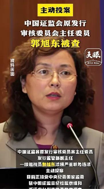 牛市已经在路上了……
现在新开户的股民太多了……