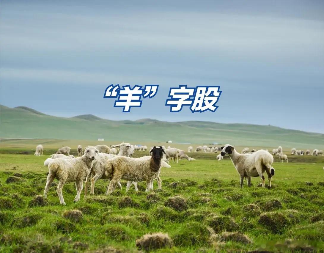 “羊”字股此起彼伏，盘点那些名字带“洋”“阳”“杨”“扬”字的活跃股票！一、前期