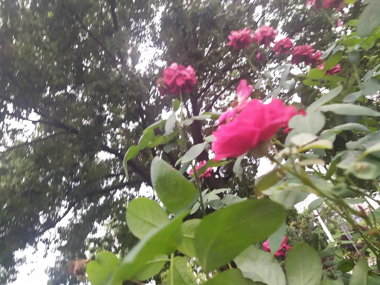 古今老人受保护，提供养老优待法。
《史记》、《汉书》、《秦律》载，秦汉保护老年人