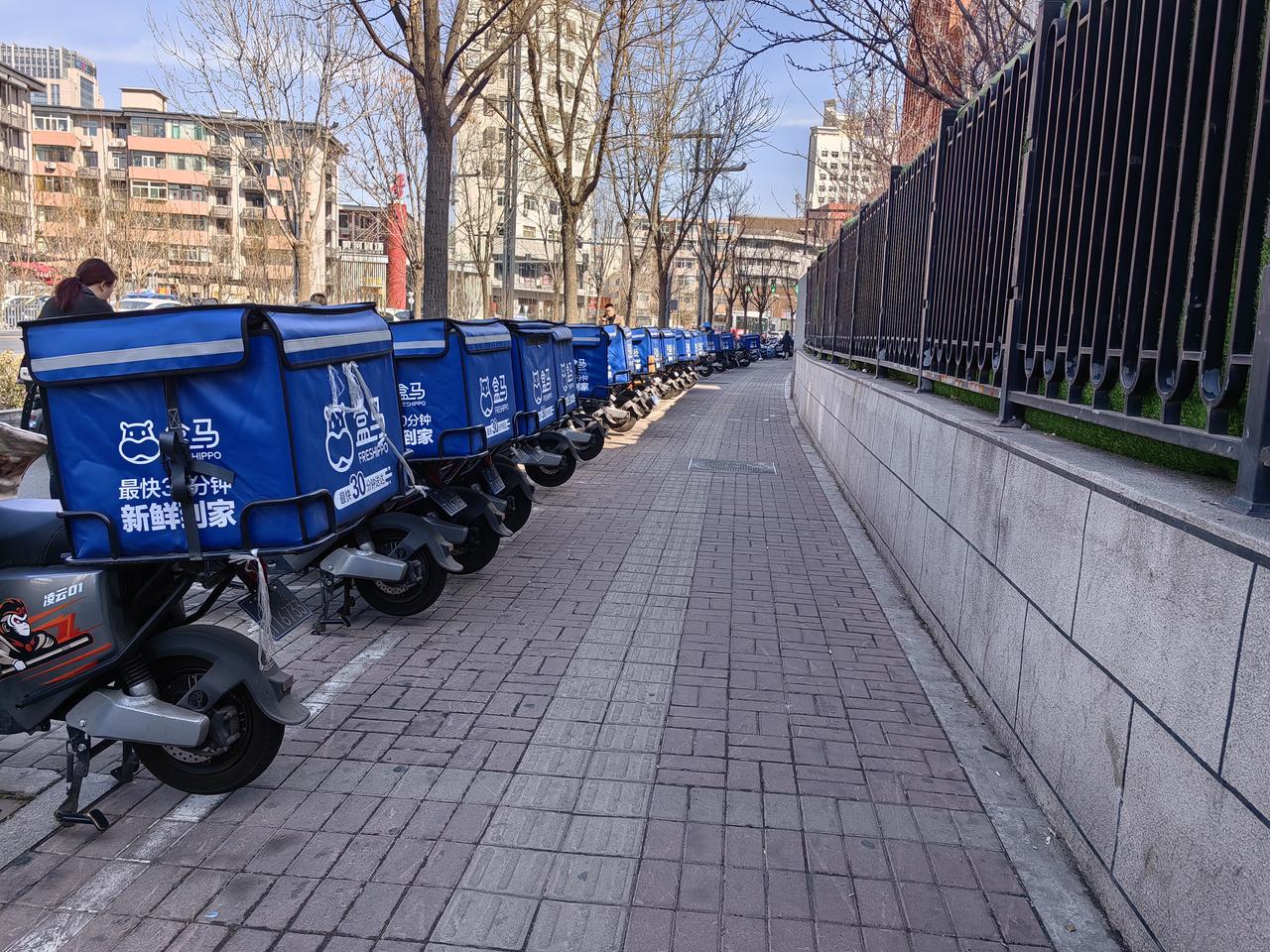 春日生活打卡季