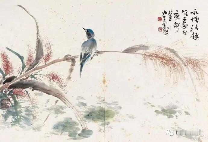 每日一图随手拍