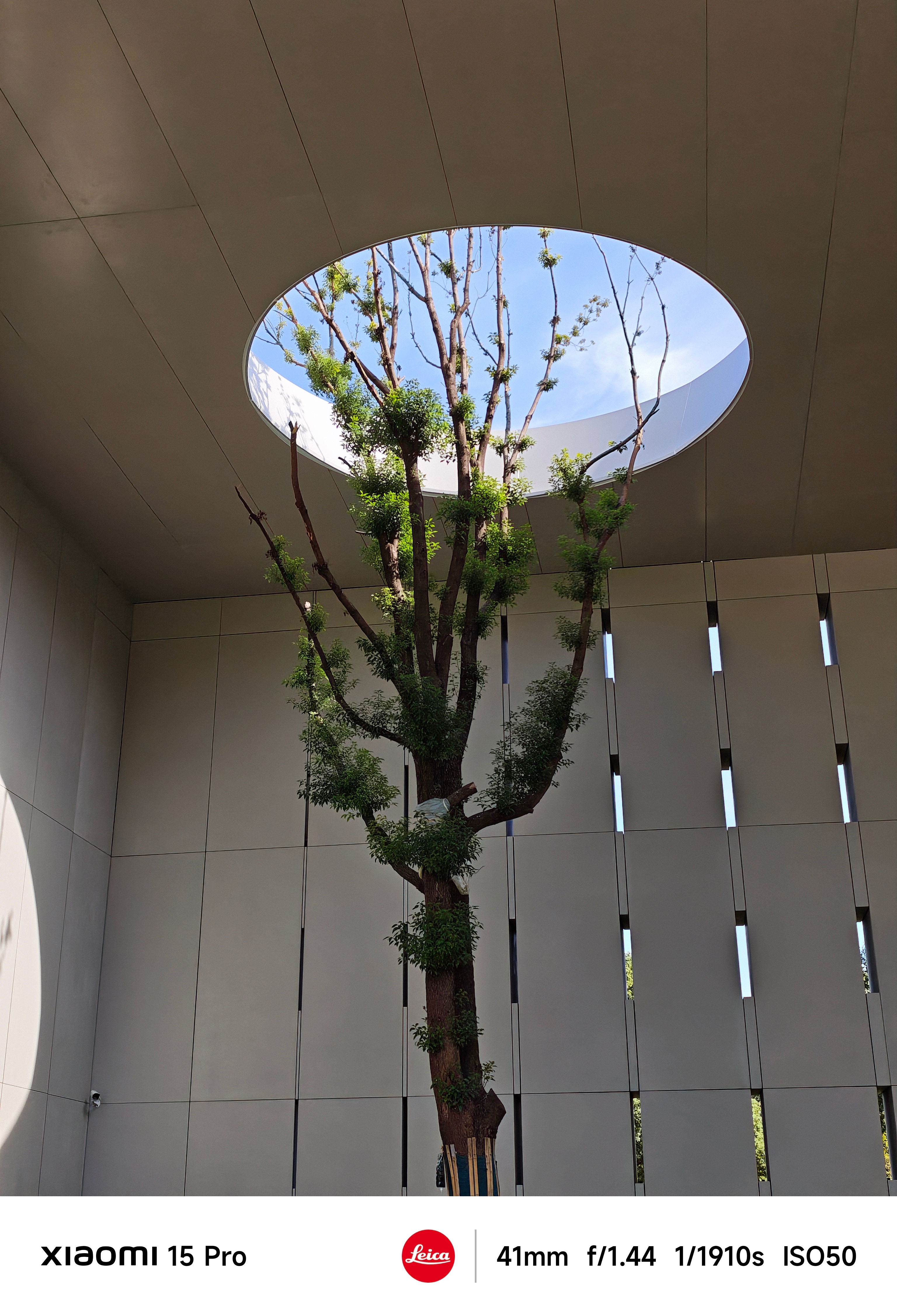 11月 十一月，请对小米股东朋友们好一点[努力][努力][努力] ​​​