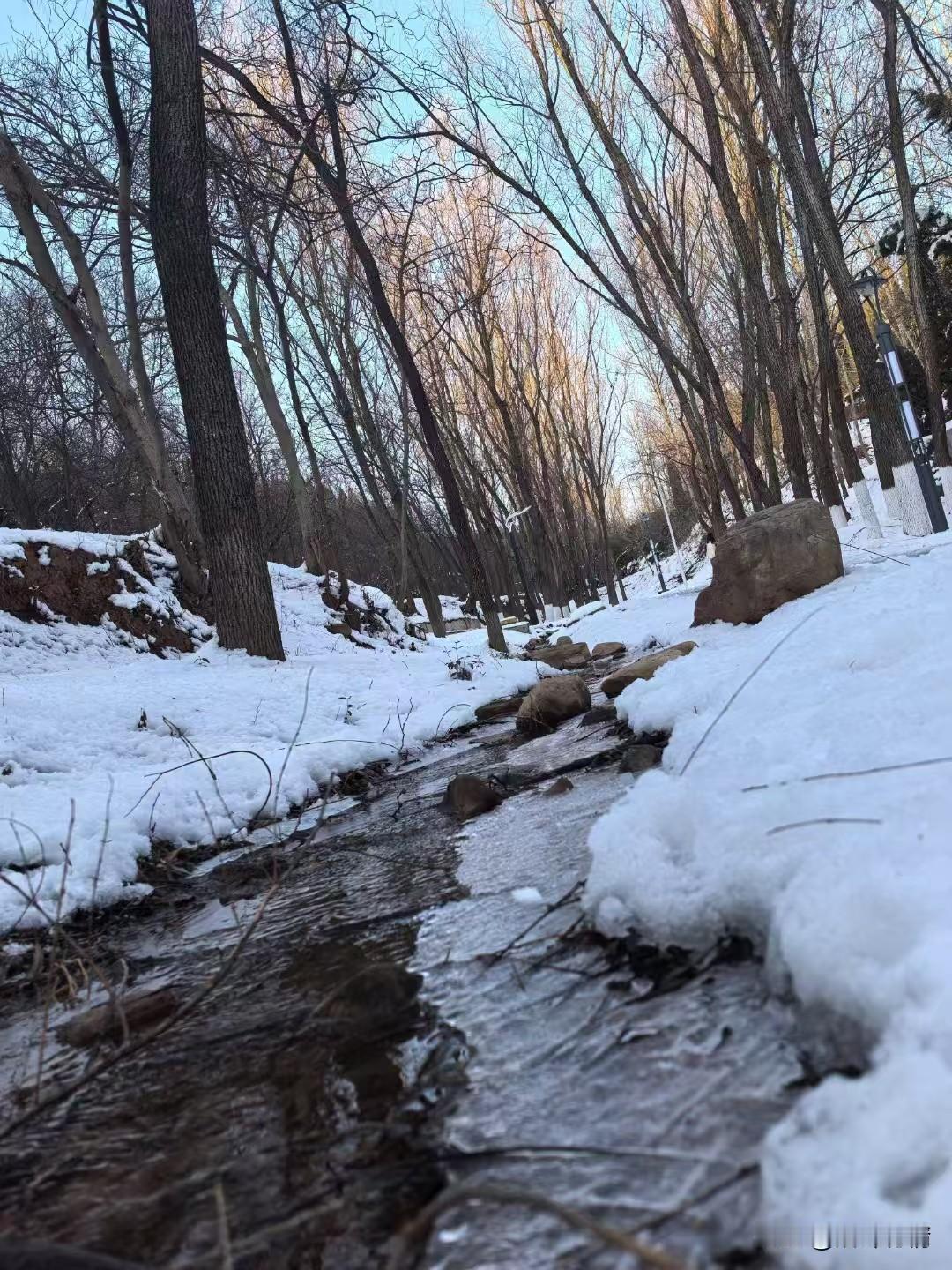 大雪下了一夜，
终归是要停的，
溪水潺潺而流，
不因大雪而停止，
虽然有少许冰霜