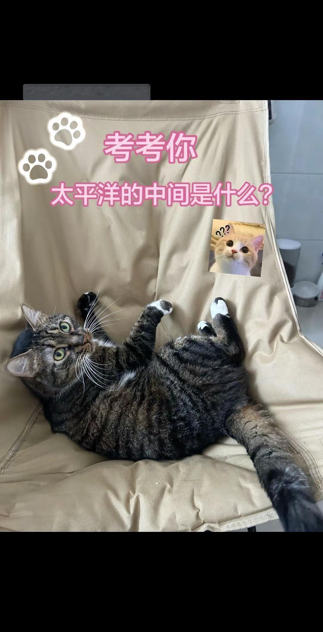 来猜一猜，太平洋的中间是什么？脑筋急转弯