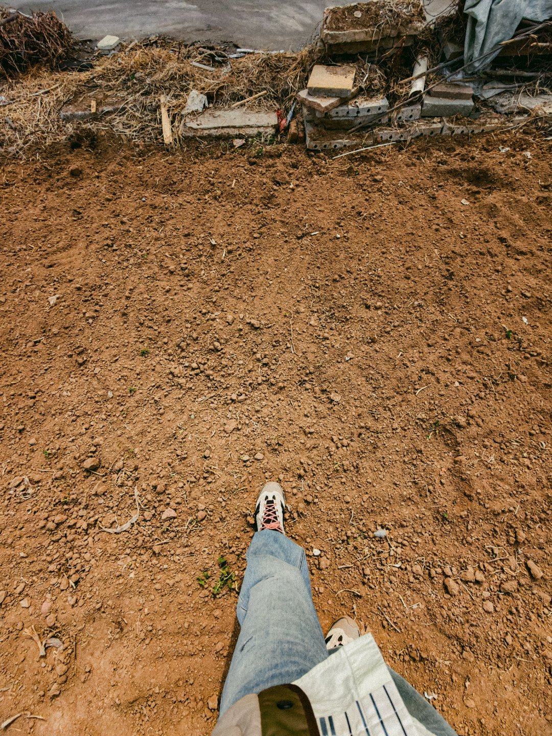 大伙说种点啥好？工作室门口这一小片地是我的嘎嘎嘎，希望的小菜园蜘蛛的小田园 青岛