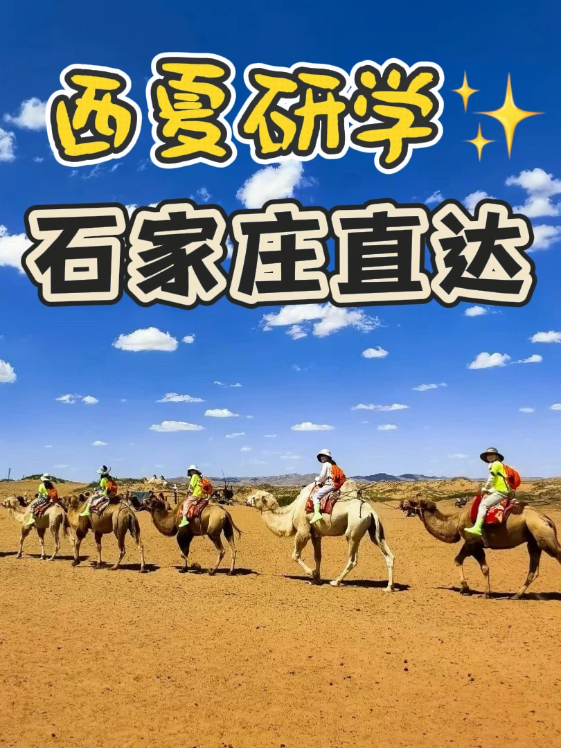 石家庄出发｜赴贺兰，寻访湮没的西夏古国