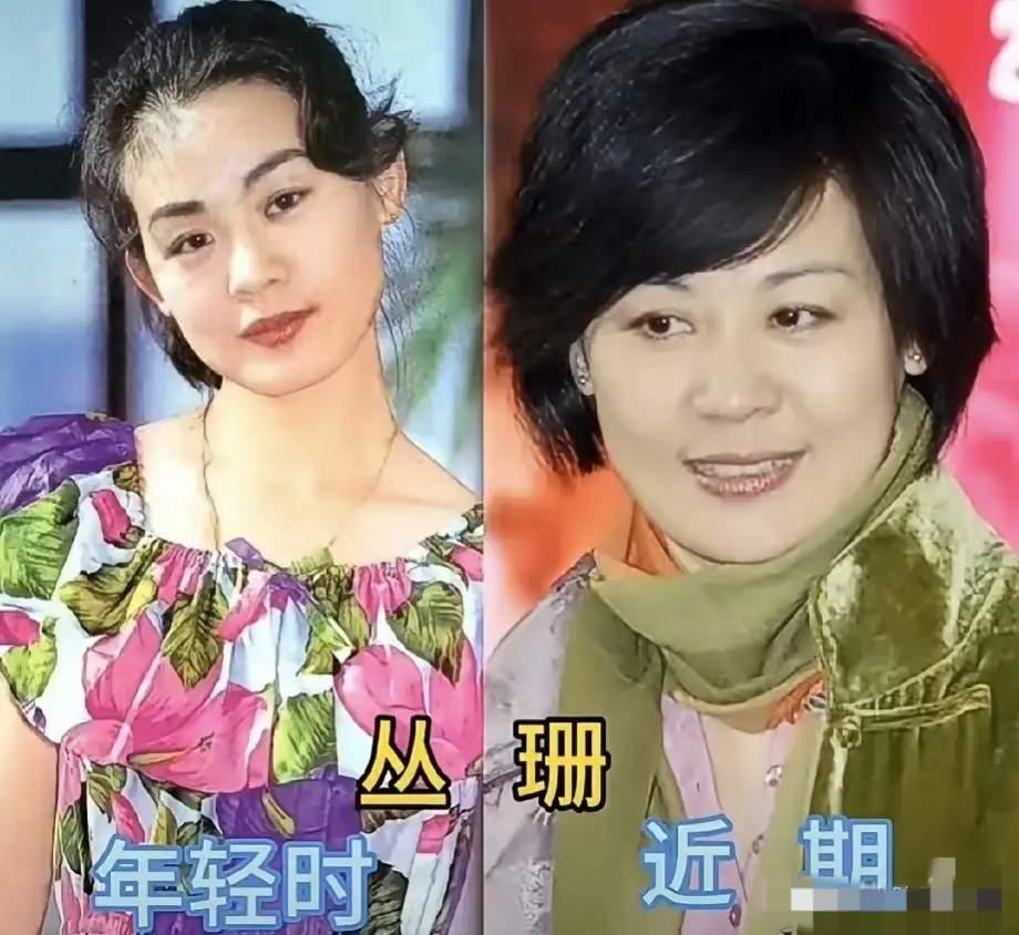 丛珊年轻时美得好大气
殷婷茹年轻时美得好大气
岳红年轻时美得好大气
三位老戏骨女