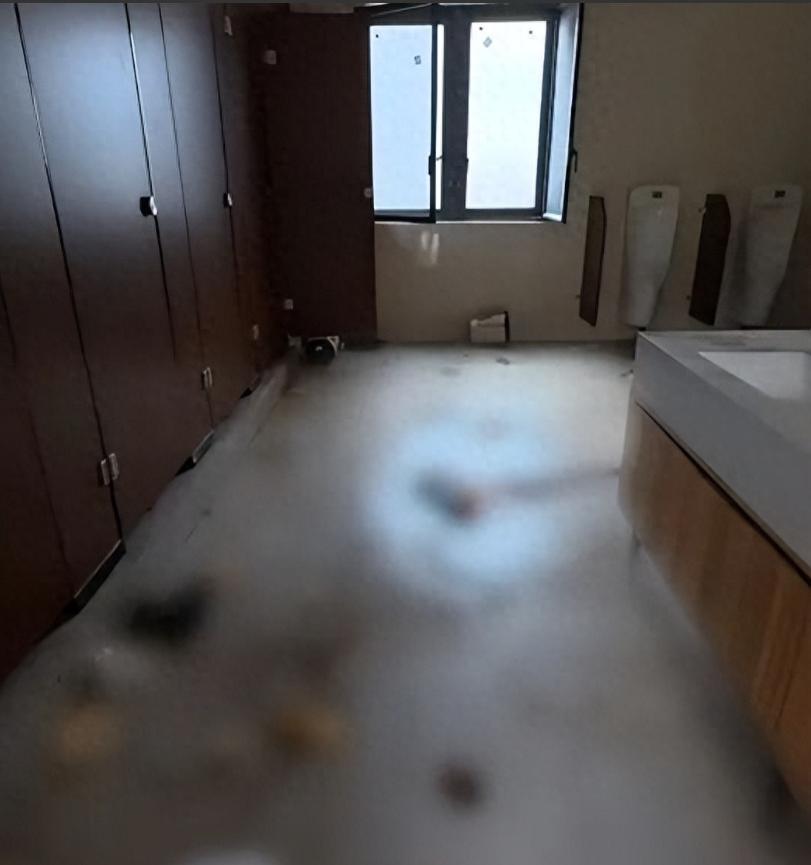 竟报两次警才脱身！四川巴塘一公园公厕满地污秽，游客拍视频曝光反被文旅工作人员围堵
