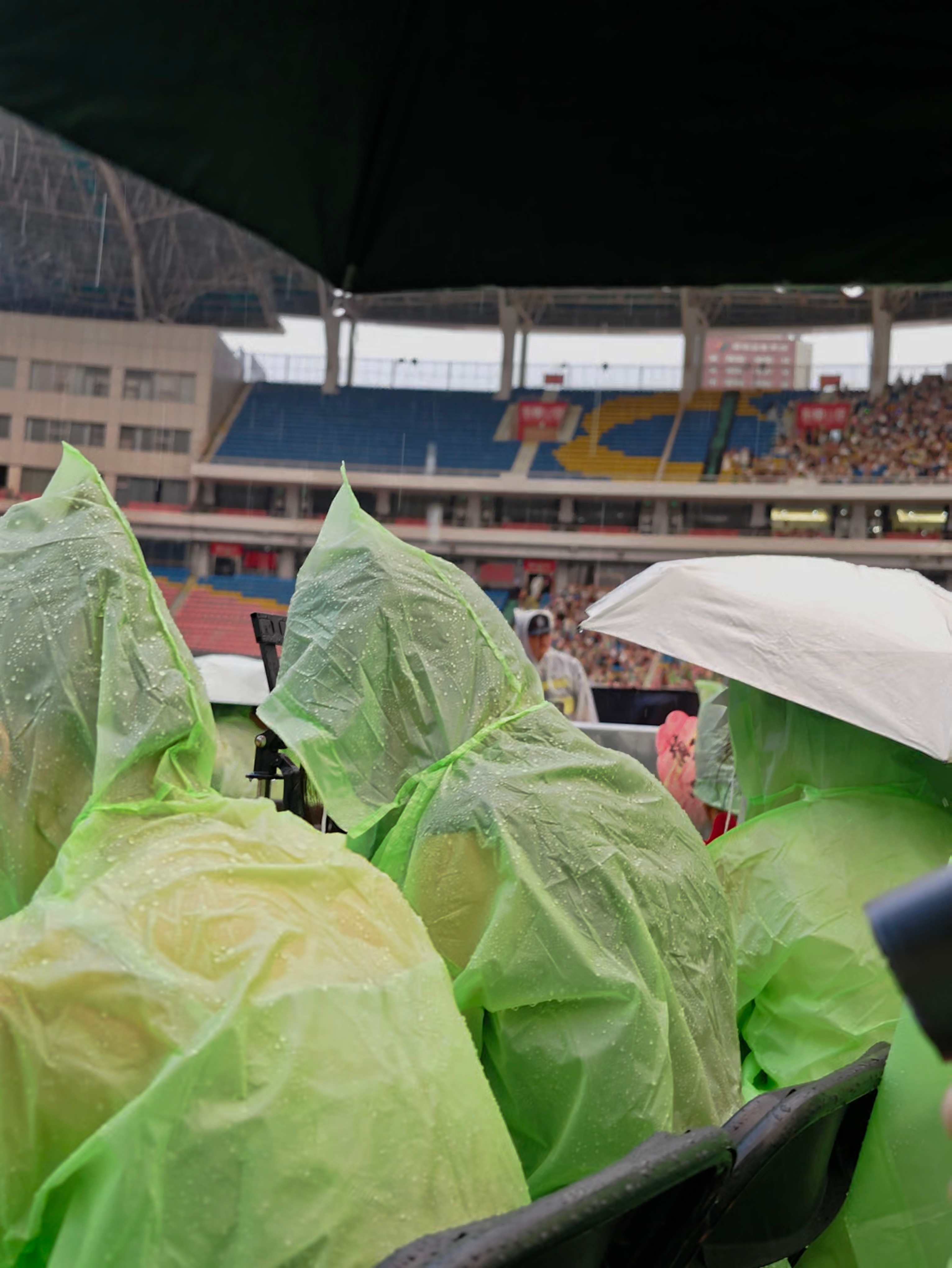 想想还是觉得好神奇。从大雨、到放晴、到云都散开就发生在开场前那几分钟里。雨停的瞬