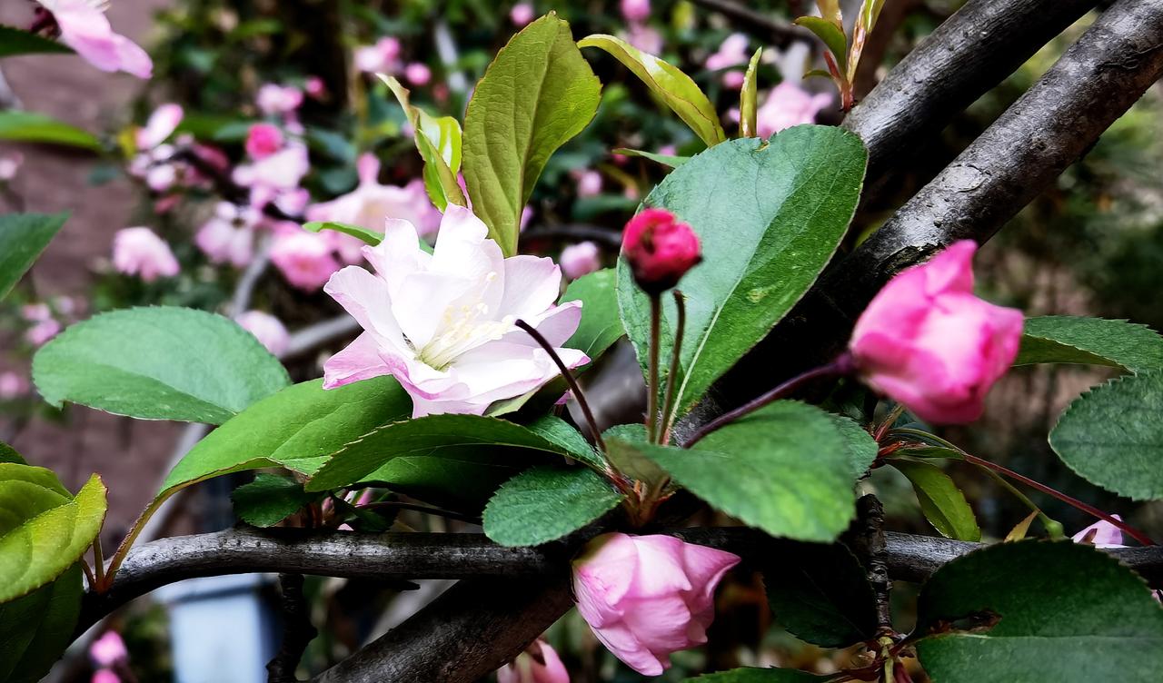 【热评】人多了就什么渣渣都有警方回应男子连续多次飞身用头撞车

河南开封一男子因