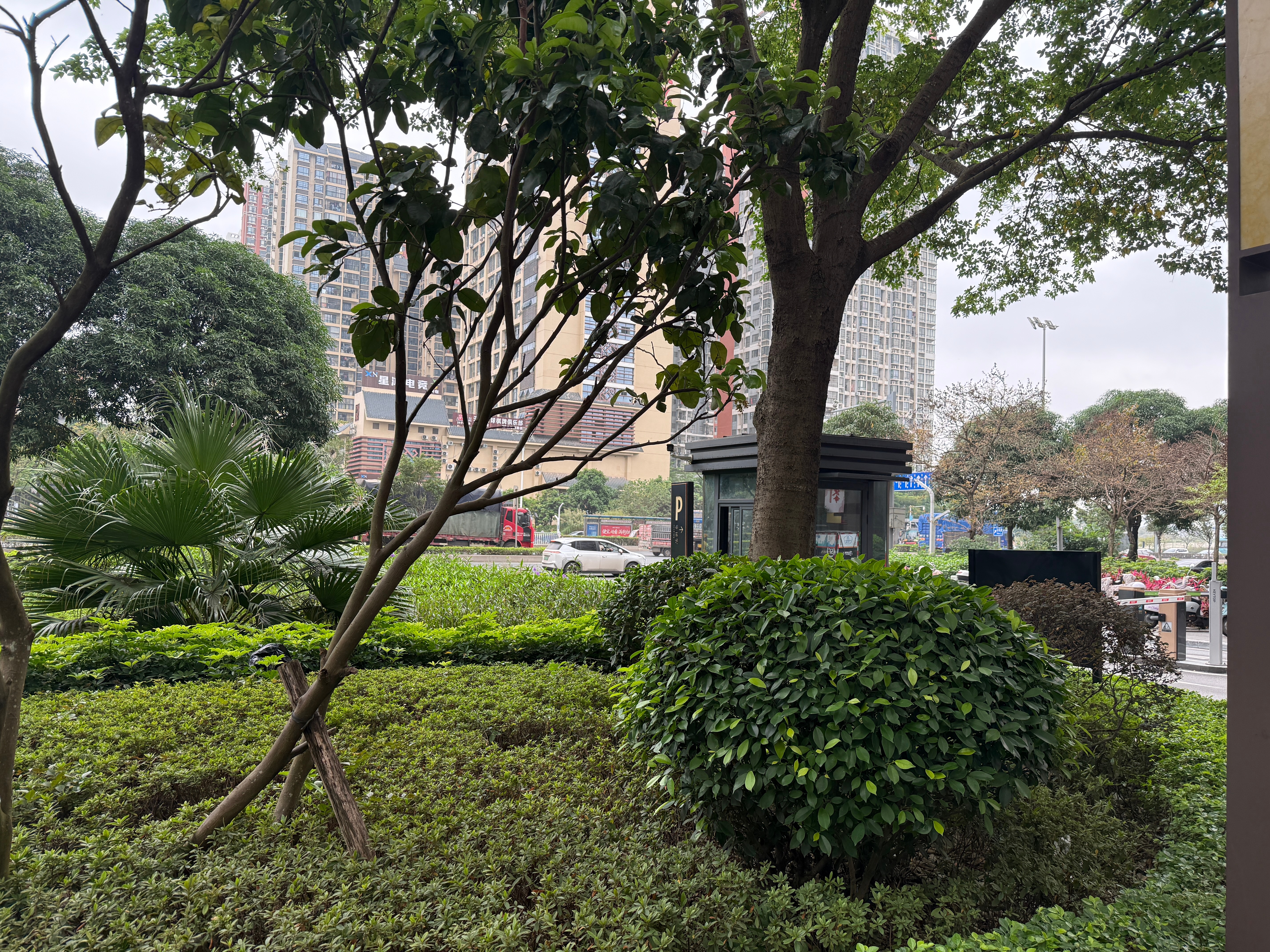 在南宁的最后一天早上 气候真舒服啊 南宁