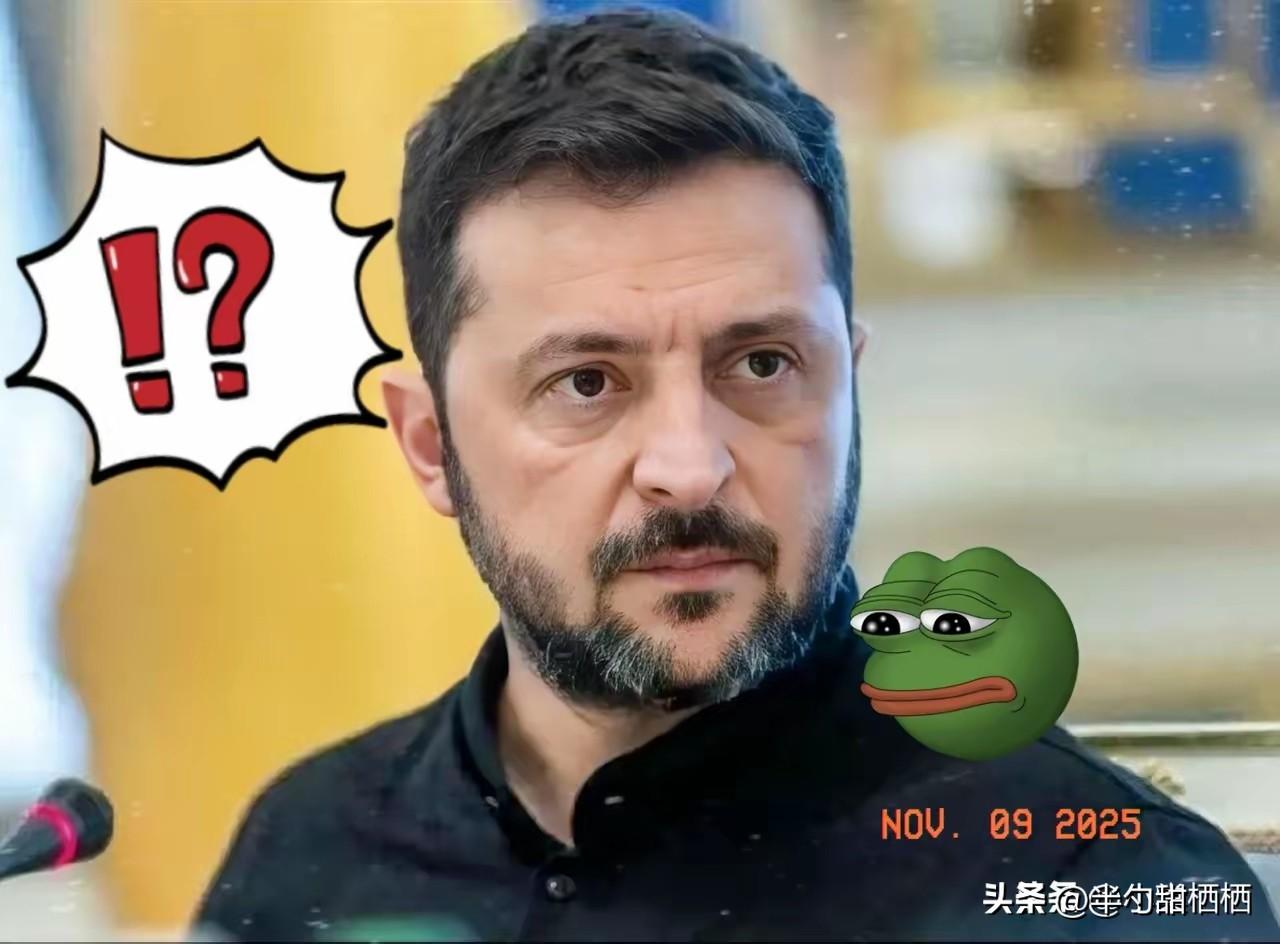 就在刚刚
泽连斯基宣布
11月9日，泽连斯基签署对俄新制裁令，针对俄多名官员、情