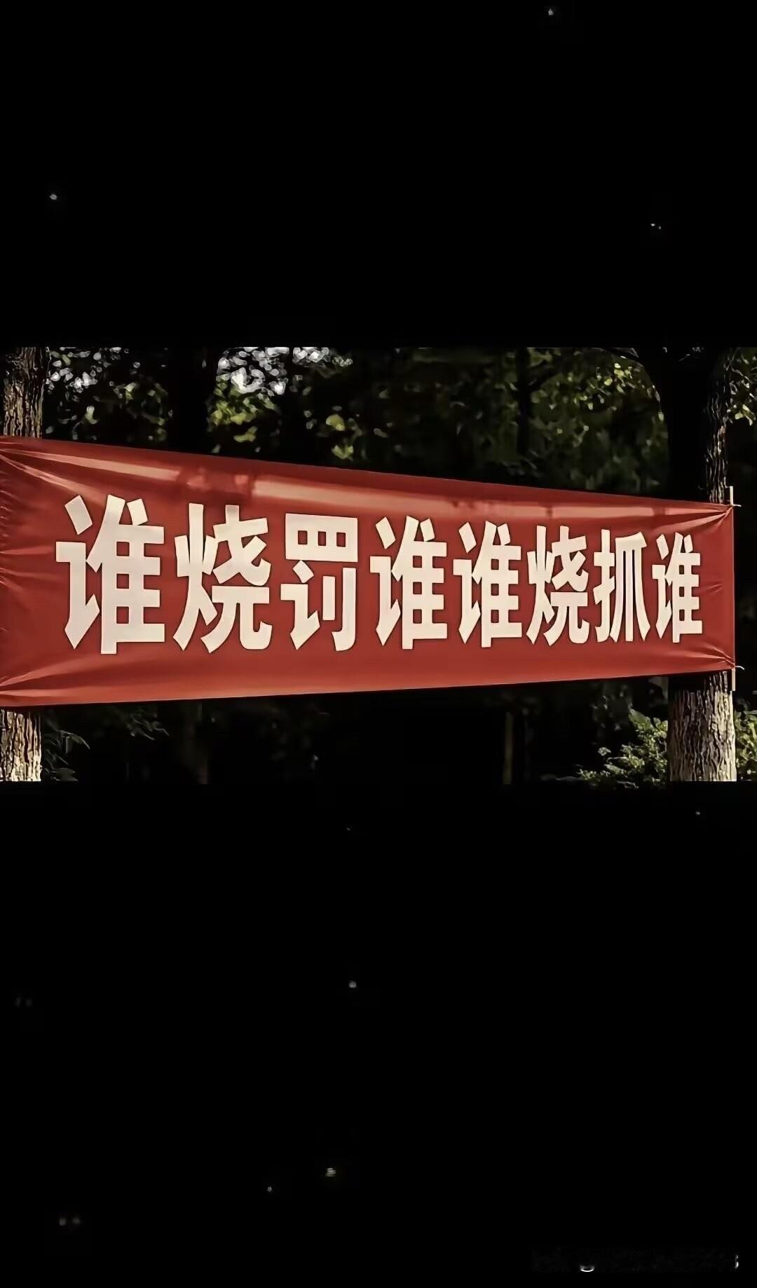 这横幅正着念，倒着念都可以念。