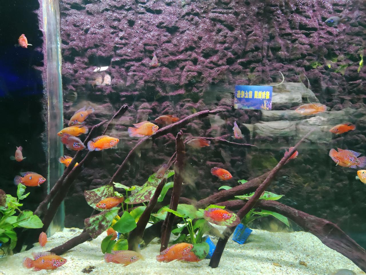 人与人之间最珍贵的，
从不是光鲜的礼物或甜腻的话语，
而是一份真心的相待。
是遇