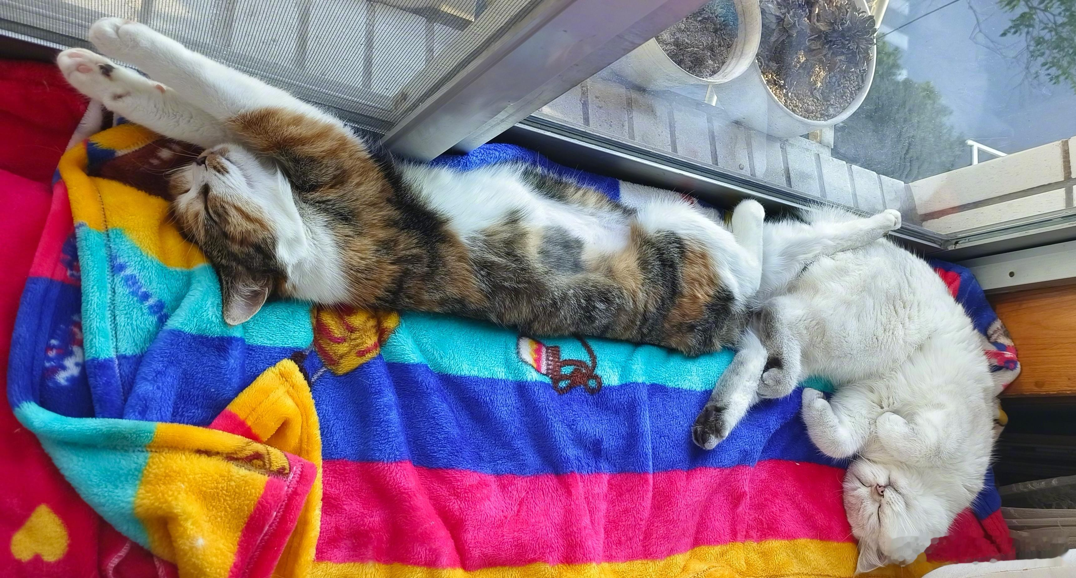 下班路上，一位女同事问我：“你女儿放寒假回家了吧？”我说：“是啊，天天买菜烧饭！