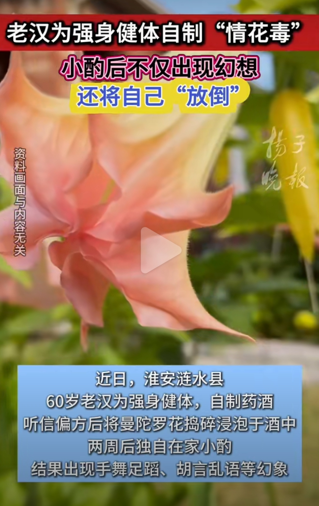 60岁老人喝自制药酒却中情花毒又是偏方。[允悲][允悲] ​​​
