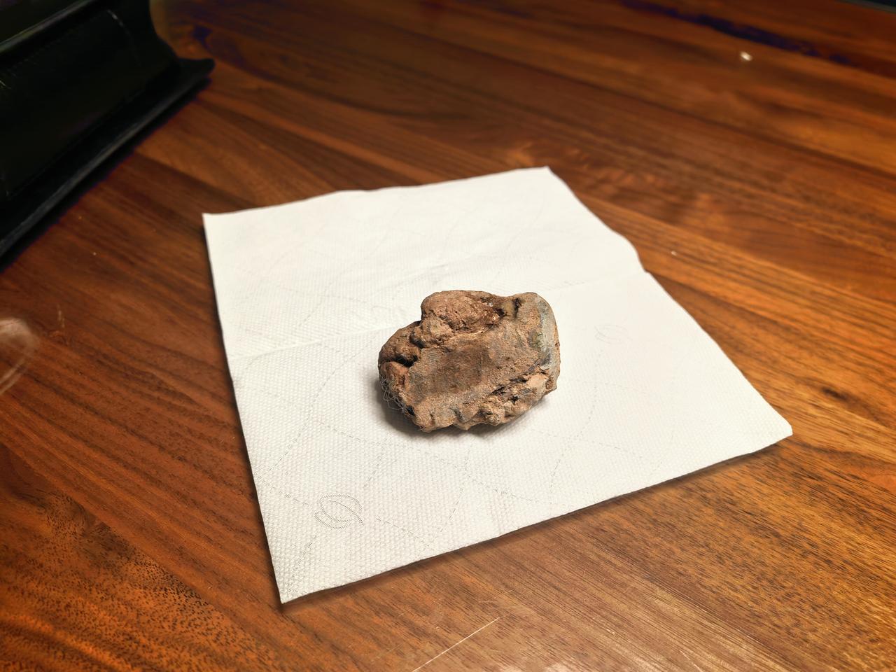 我家狗狗现在兴趣又变了。

原来每次出去溜达的时候，总会捡一些瓶子回来，只要嘴里