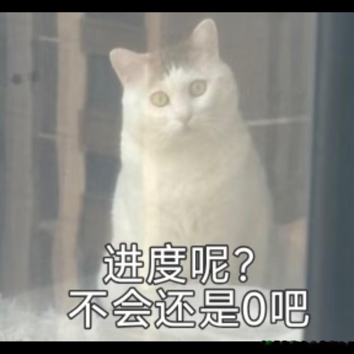 明星 哭穷哪个公关给罗正想的歪点子，2026年也是让明星抓到哭穷机会了……出不了