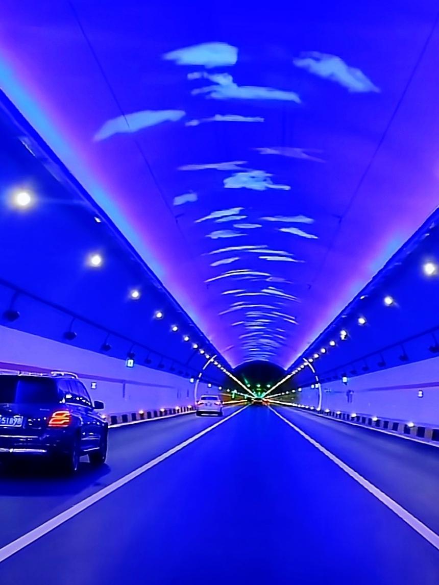 微文：意外惊喜
她做梦也没想到，那天乡村旅游搀扶摔倒老人，竟然是自己苦找二十多年