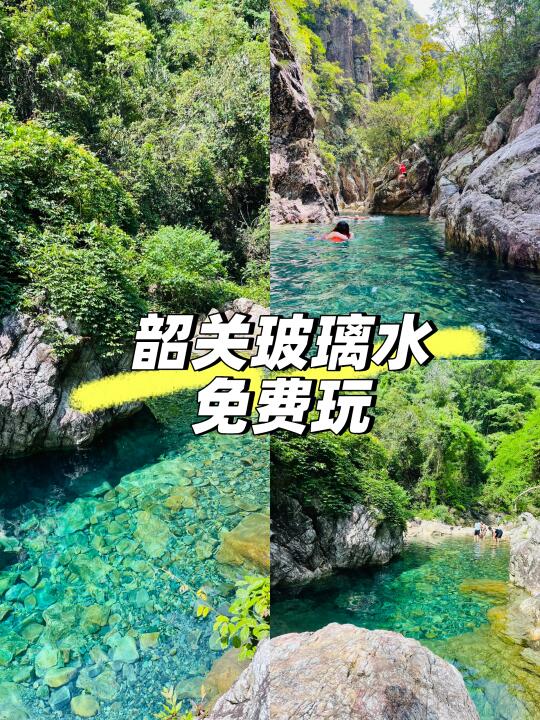 不来你会后悔｜广东玻璃水的天花板‼️