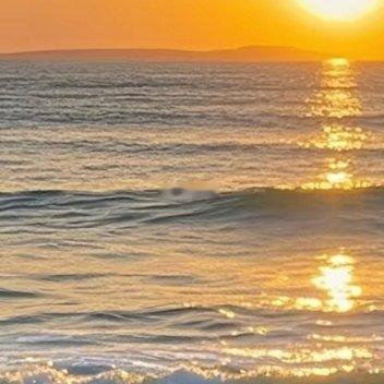 每日一善 每日一善 阳光信用 我们能做的只是要拼尽全力，即使迈出的步子再小，我们