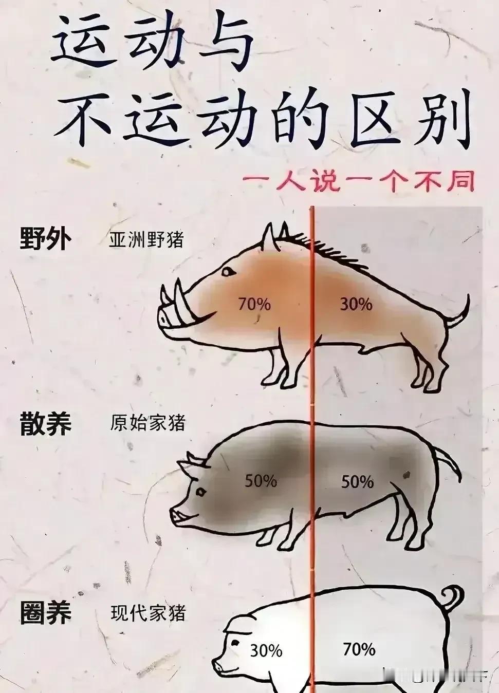 你是爱运动的人吗？看看运动和不运动的区别确实挺大！