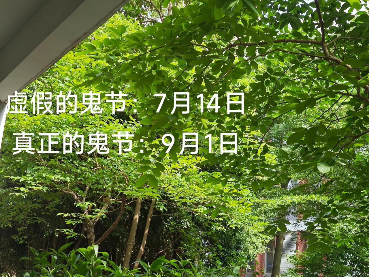 开学怨气比鬼重