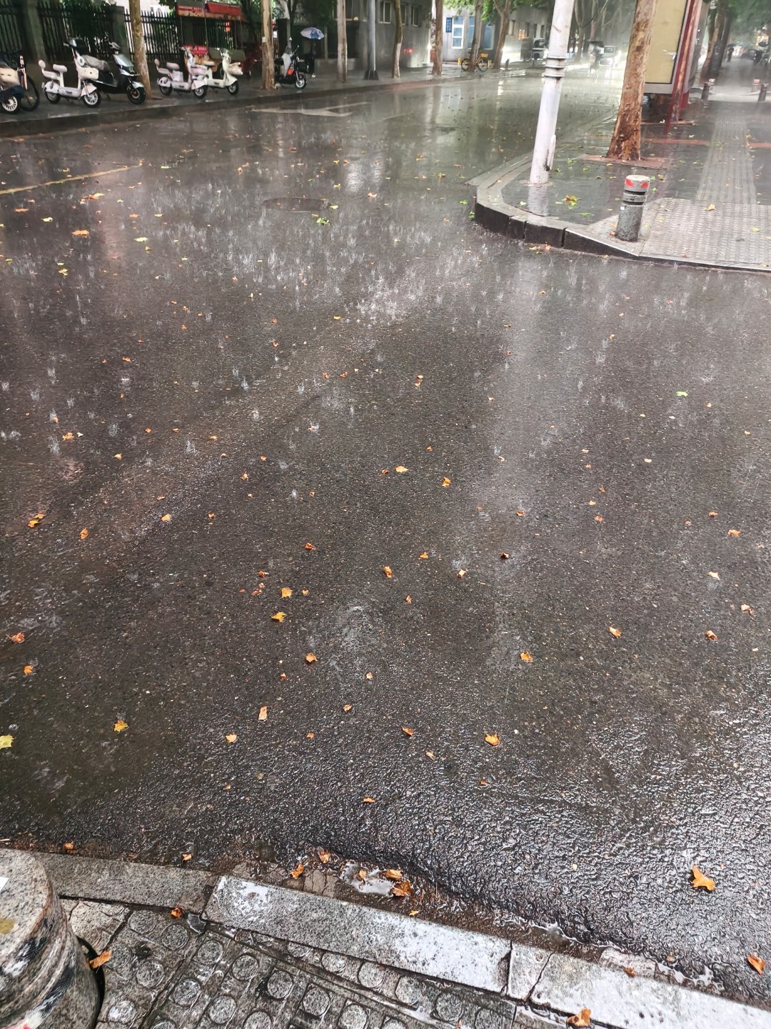 我嘈你码 