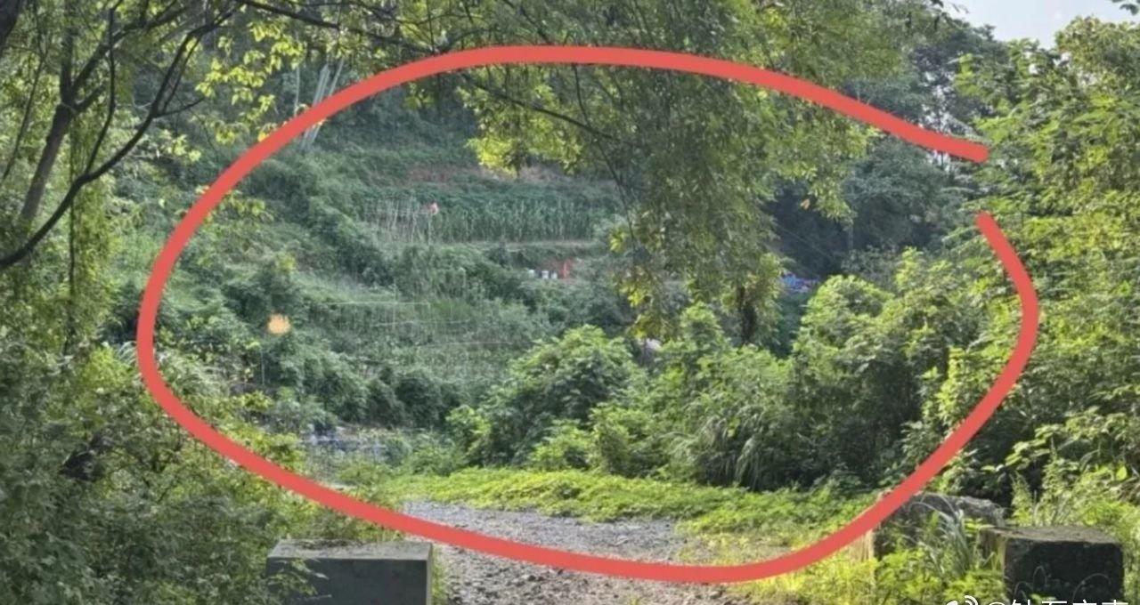 女子误踩“化骨水”身亡，知情人称她种菜时滑倒在玻璃瓶上，警方初判非恶意投放>>网