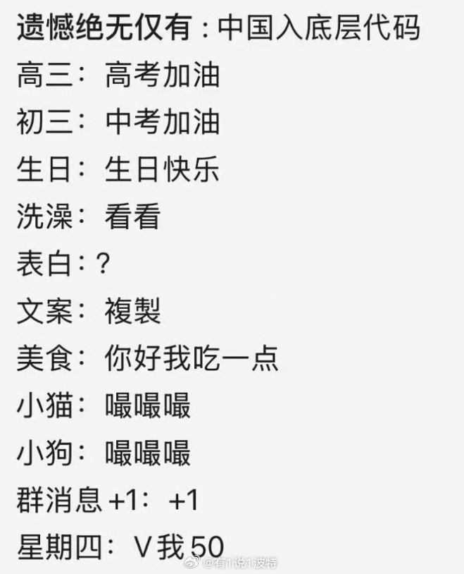 遗憾绝无仅有:中国入底层代码 