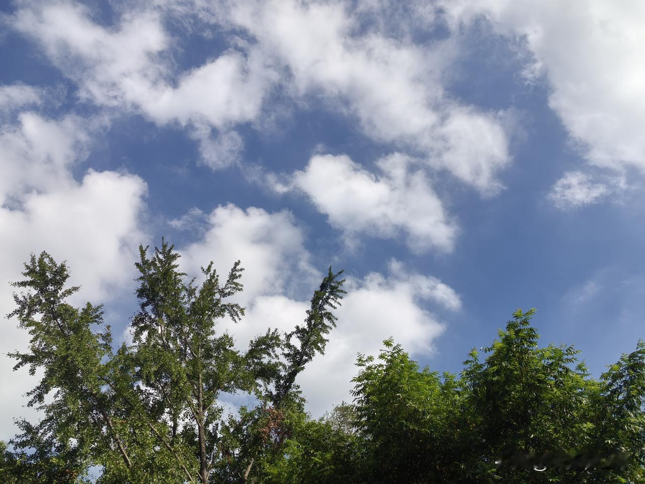 一眨眼就到了处暑了，时间过的真快，不知不觉大半年就过去了。

云卷云舒，自在无忧