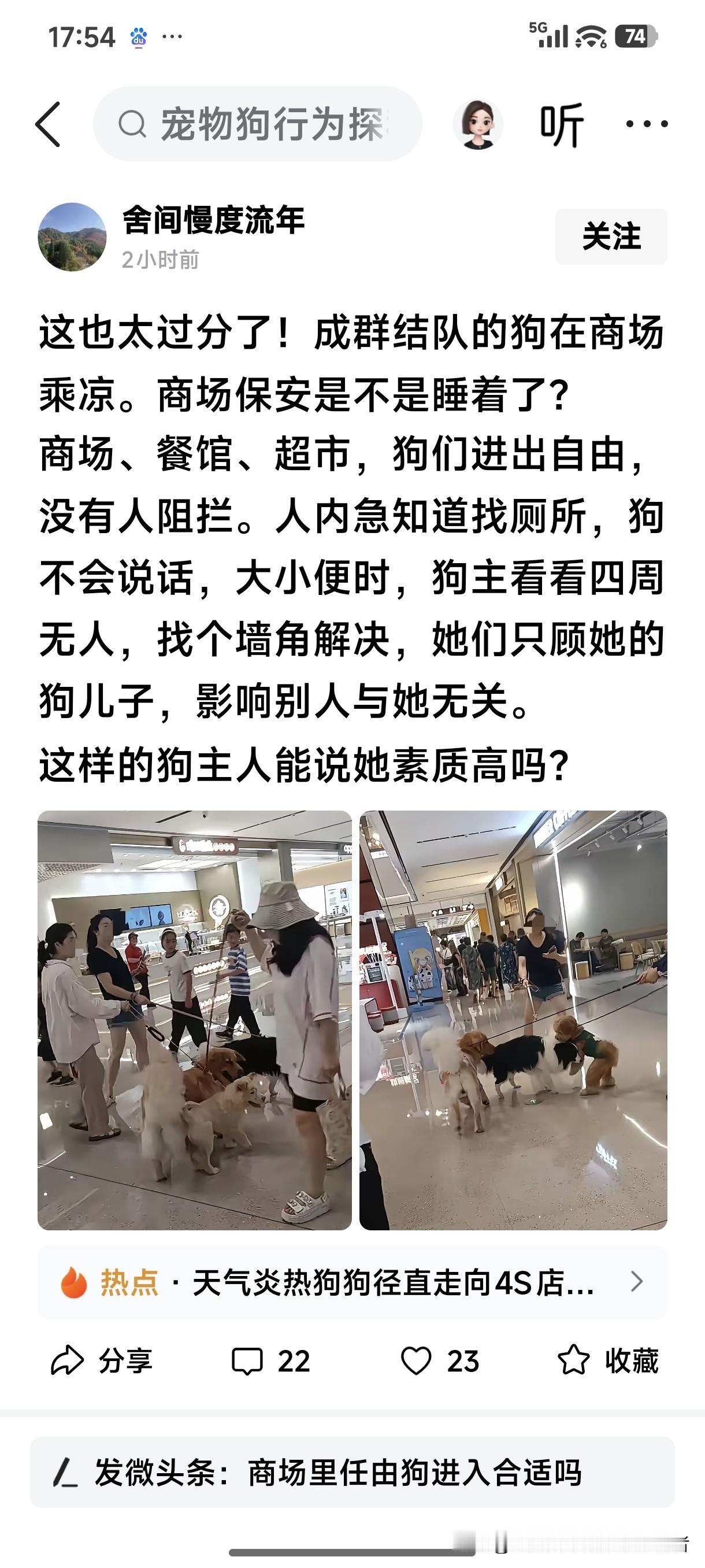 网上看见，有网友说看见很多人带着狗在商场乘凉，网友直呼商场保安是不是睡着了，怎么
