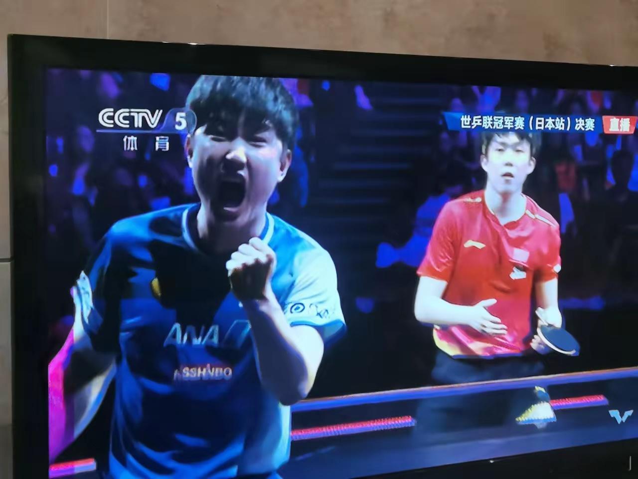 王楚钦vs张本智和看男单决赛，大头失误太多了，状态明显不佳，不是0:4输就很不错