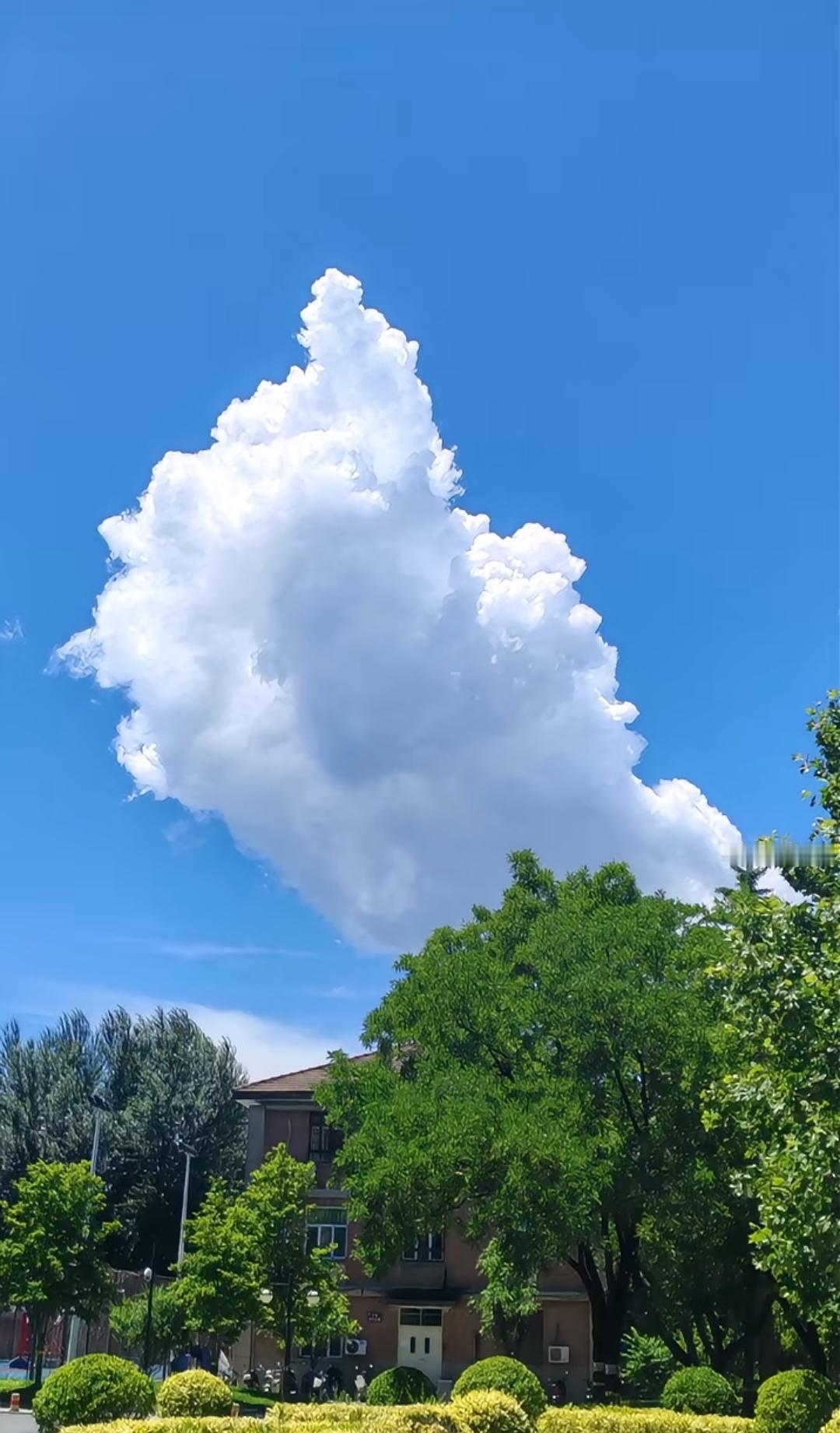 ＃随手拍美景分享＃
    湛蓝如洗的天空下，一朵巨大的棉花云蓬松矗立，顶部洁白