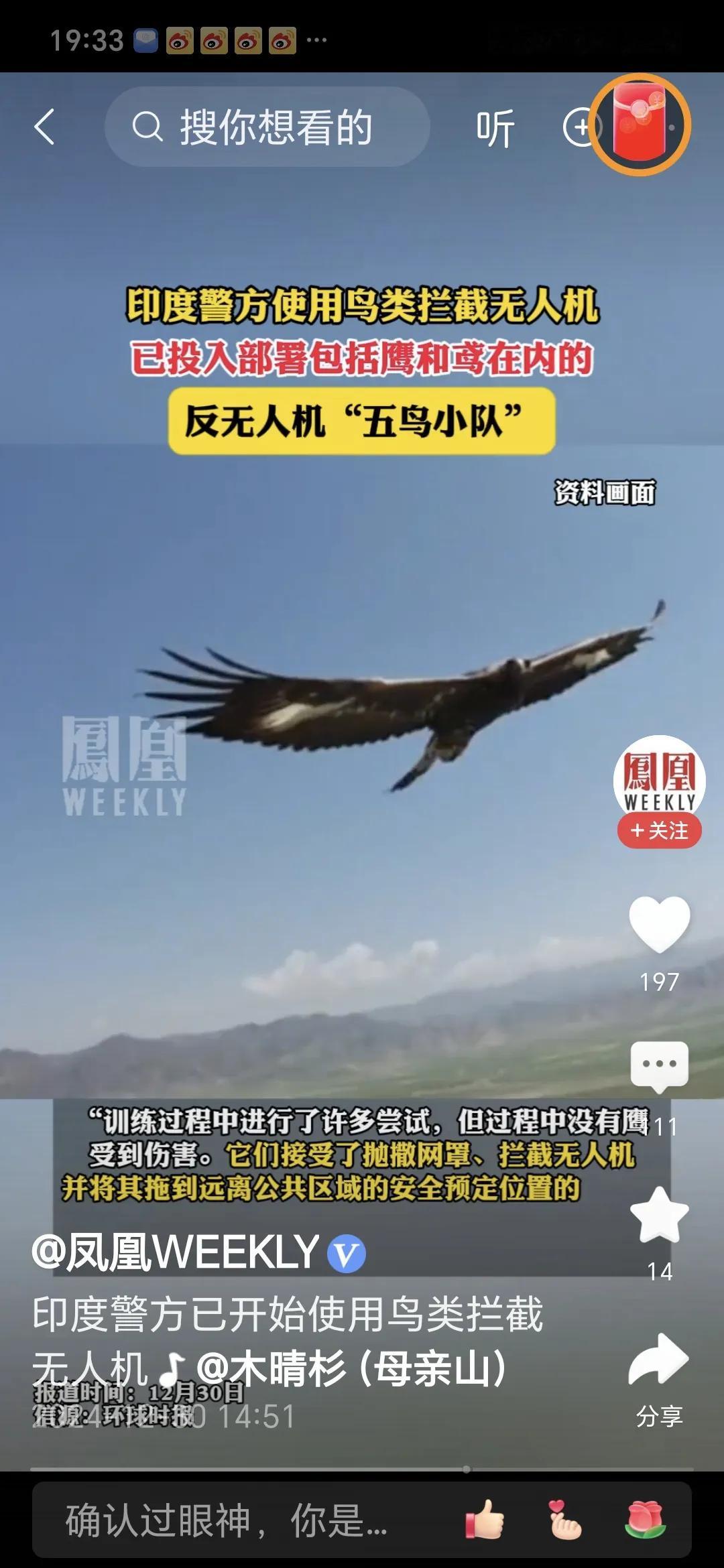 印度警方用鸟拦截无人机
《印度快报》12月29日消息，印度特伦甘纳邦警方启用了独