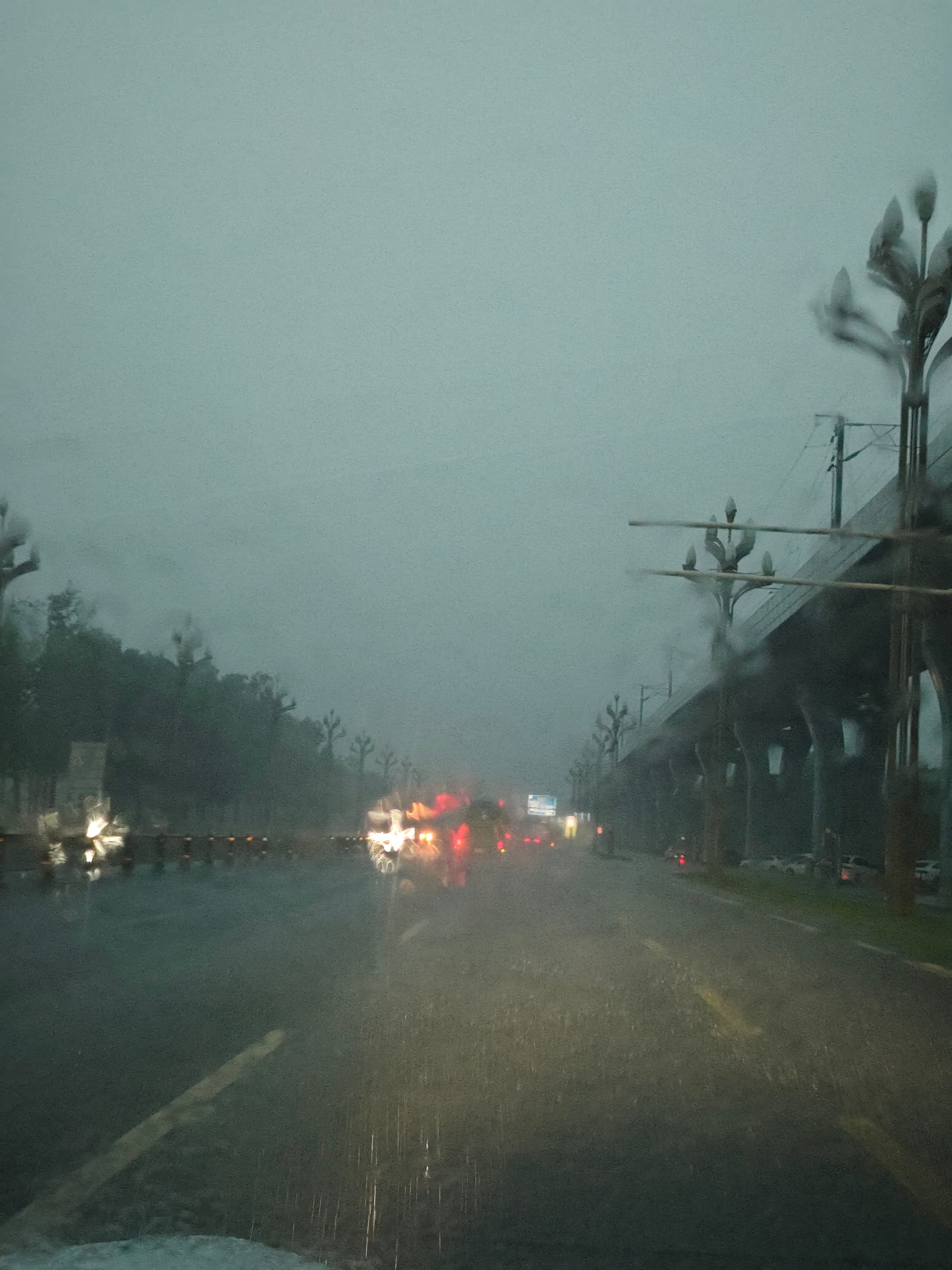 这会雨也太大了吧 ​​​