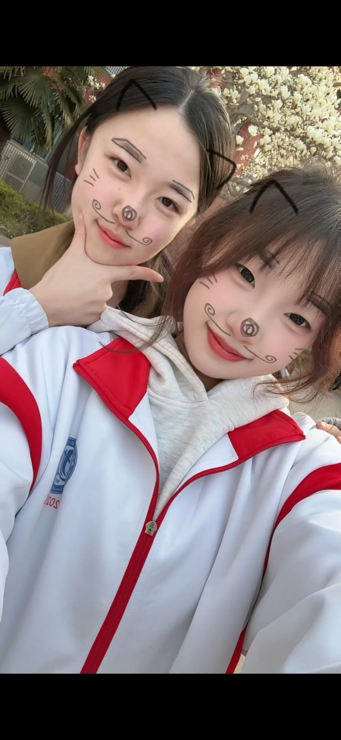 学校的玉兰花又开了