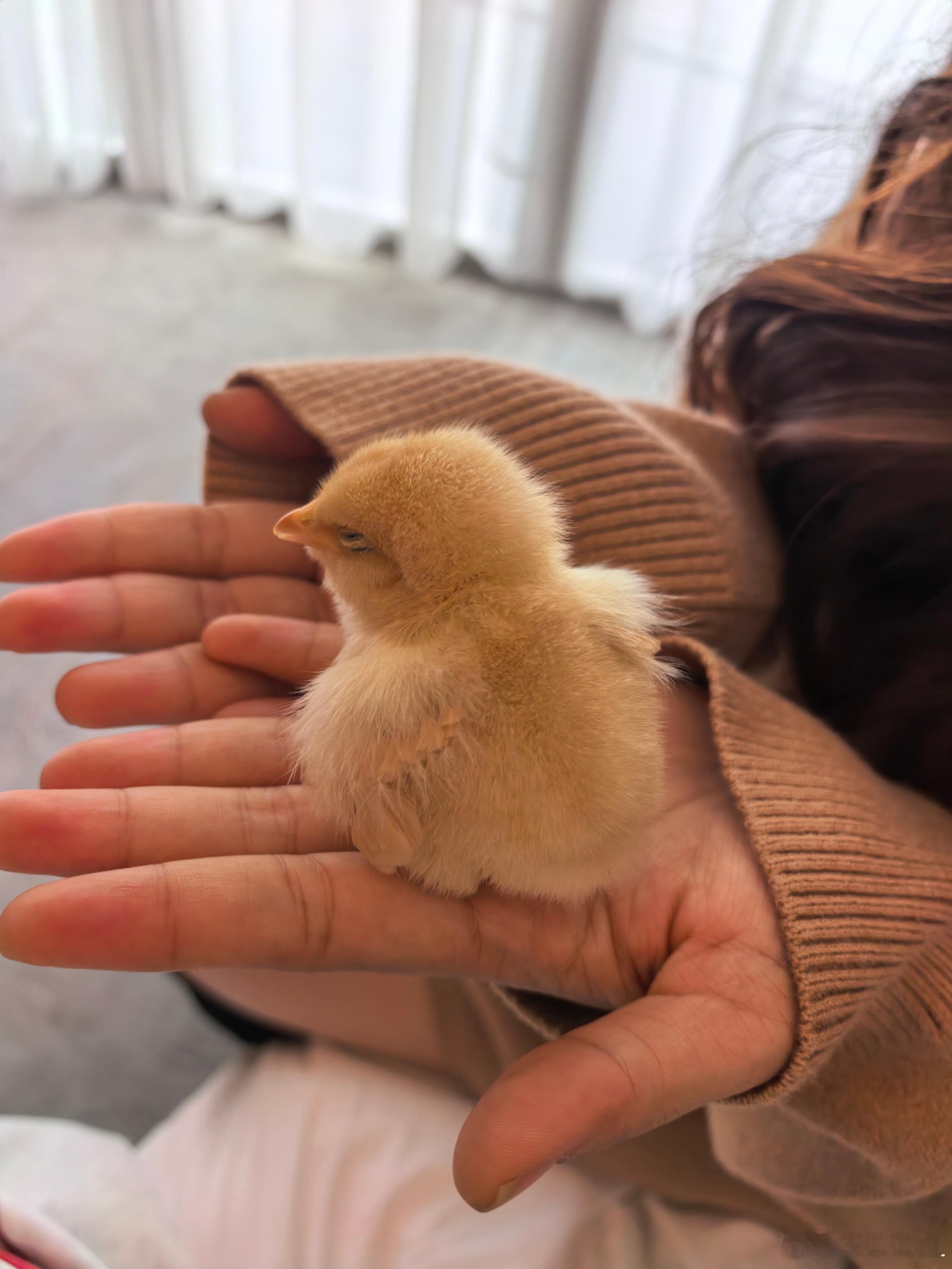 简单聊一聊电池混装吧。电池混装，一般都是混宁德+其它。有没有影响？你可以理解为没